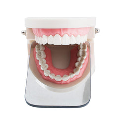 Dental Intraoral Photographic Mirror - Double-Sided Rhodium