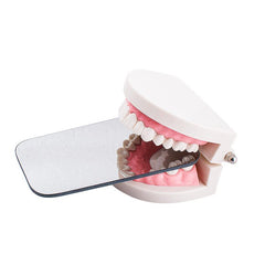 Dental Intraoral Photographic Mirror - Double-Sided Rhodium